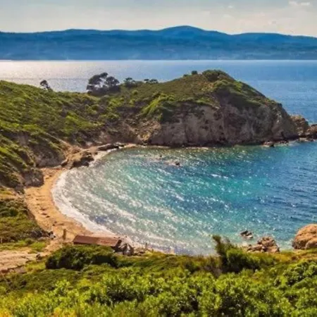 Gruccio - Sunny Nests * Skiathos Town